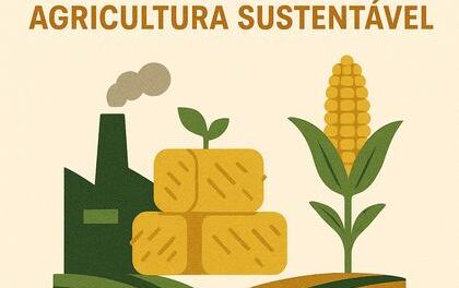 Como a Energia por Biomassa Revoluciona a Agricultura Sustentável