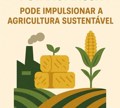 Como a Energia por Biomassa Revoluciona a Agricultura Sustentável
