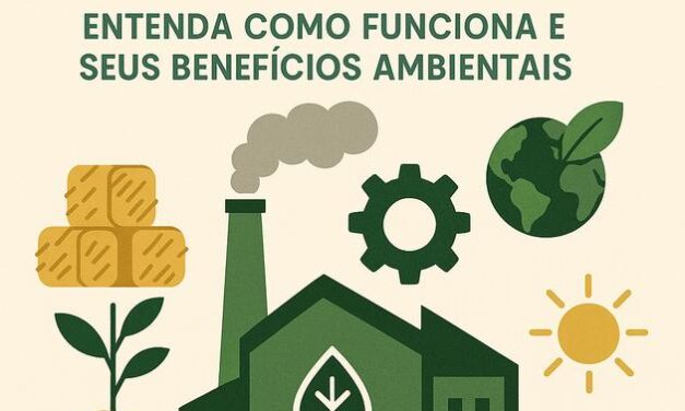 O Que é Energia por Biomassa? Descubra Seus Benefícios Ambientais
